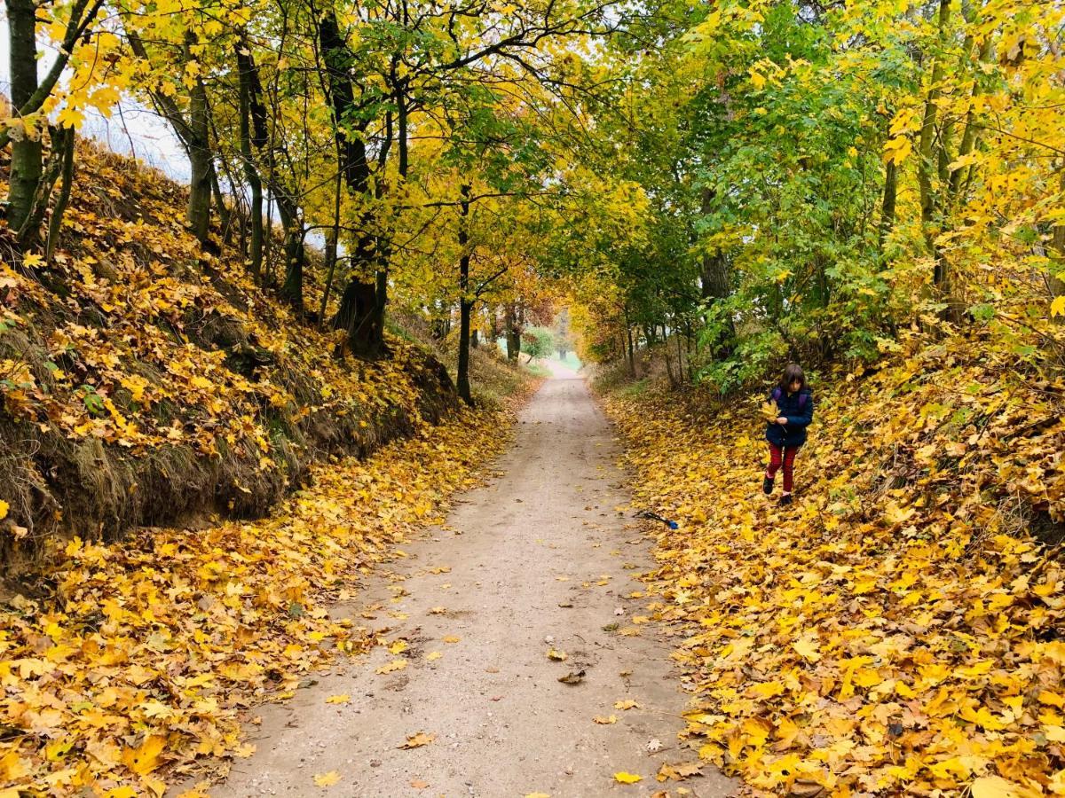 Toskania Kociewska Nowe Buitenkant foto