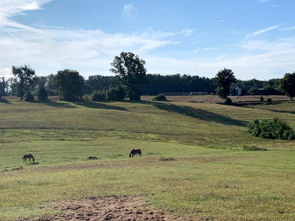 Toskania Kociewska Nowe Buitenkant foto