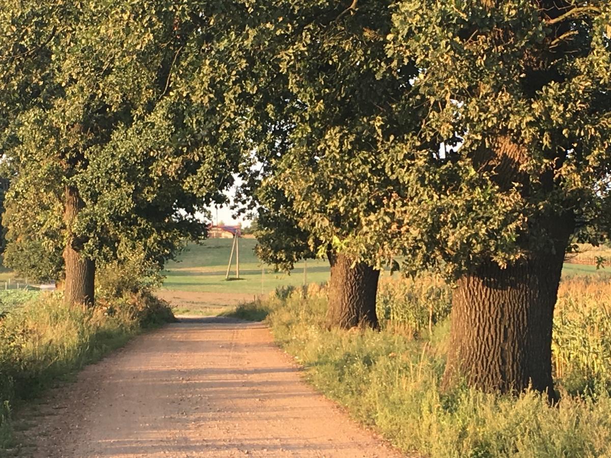 Toskania Kociewska Nowe Buitenkant foto