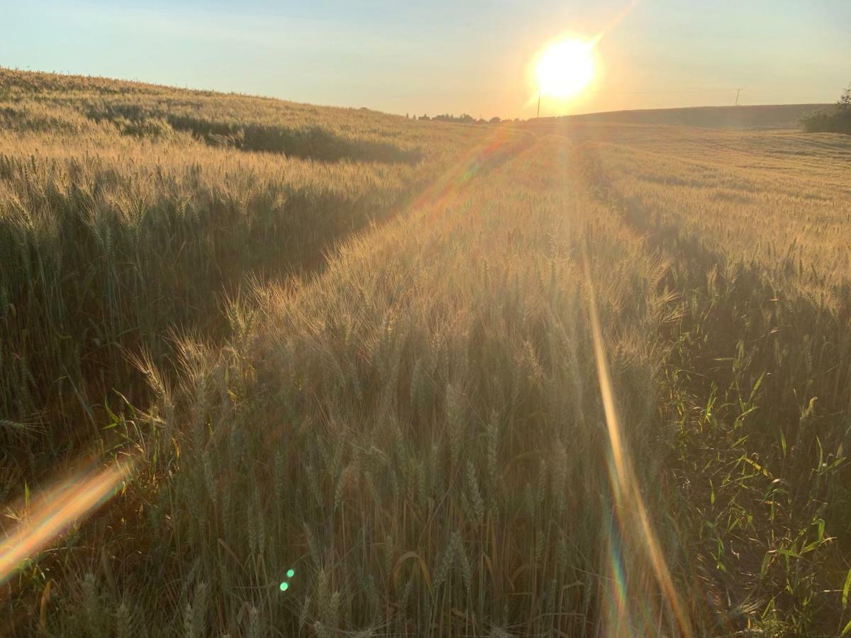 Toskania Kociewska Nowe Buitenkant foto